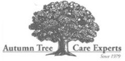 Autumn Tree Care