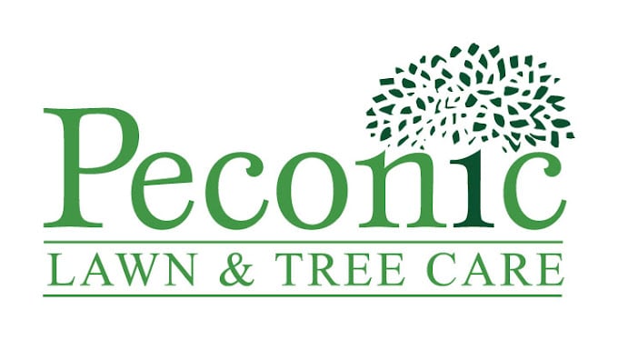 Peconic-logo-alternatecolor