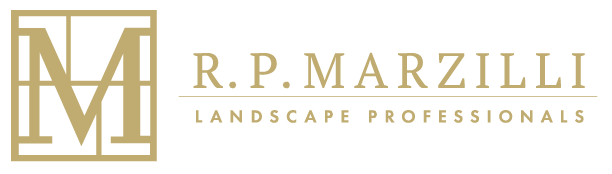 RPMarzilli-logo