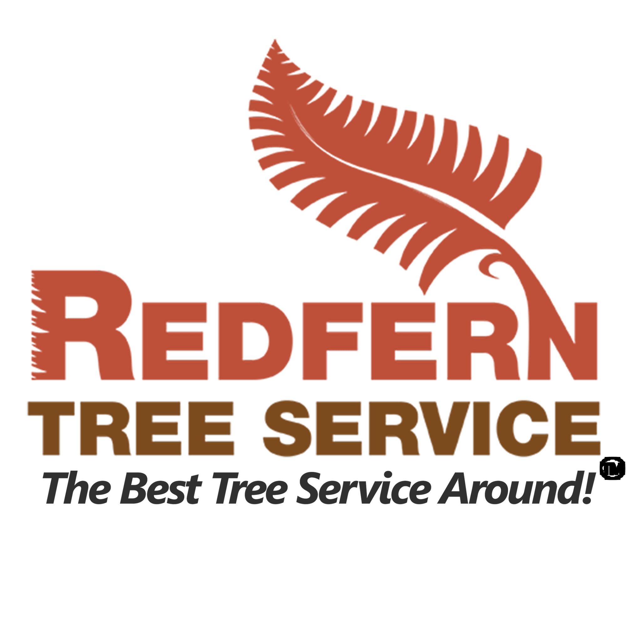 Redfern Tree